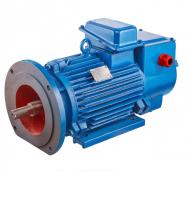 Электродвигатель крановый МТН 311-8